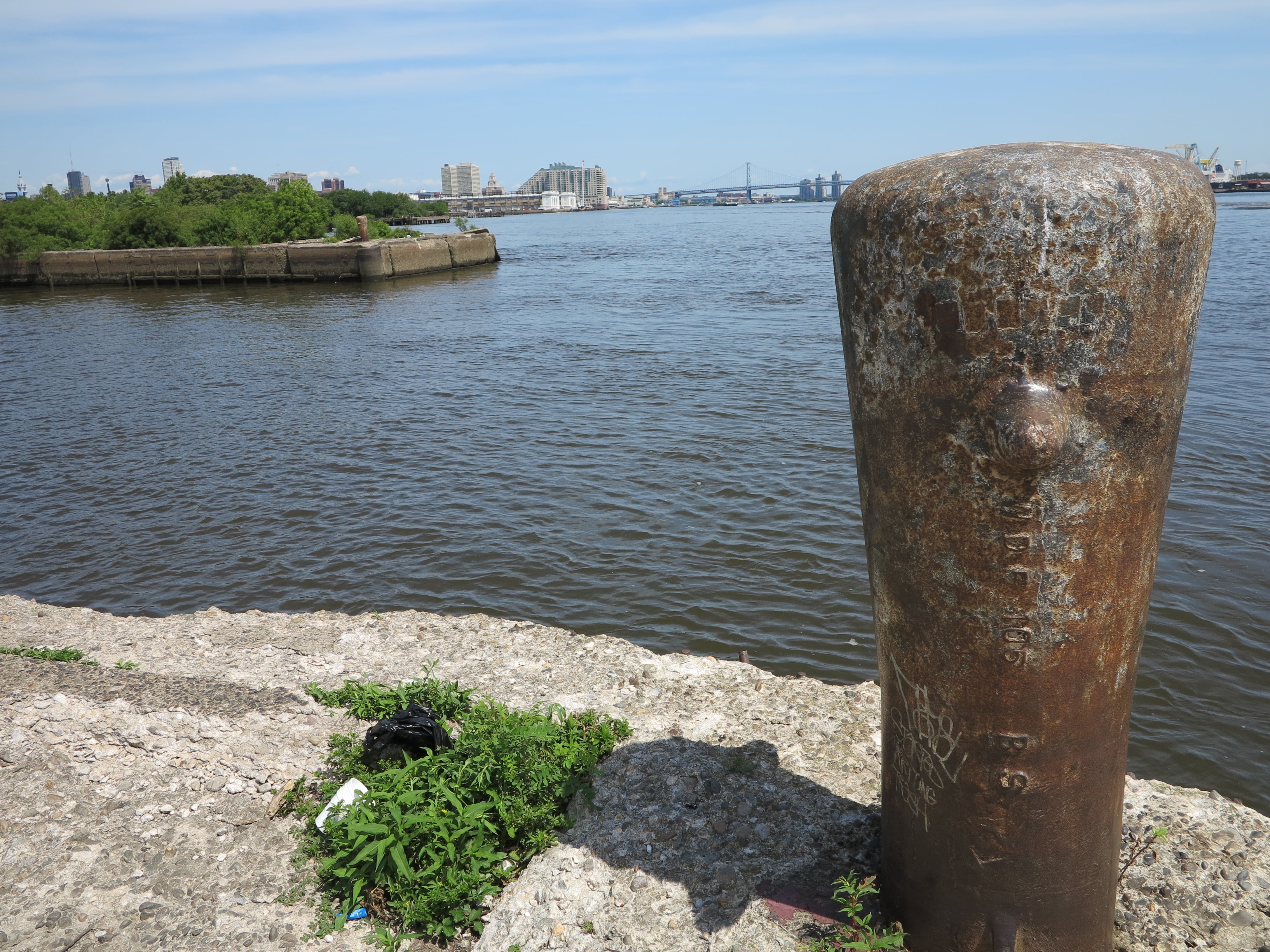 Looking north from Pier 68, July 2014