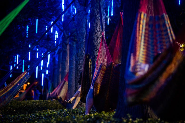 Spruce Street Harbor Park hammock grove | Matt Stanley, courtesy of DRWC