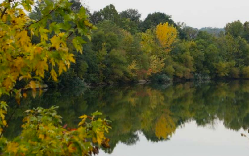 The proposed location for the East Park Leadership and Conservation Center—the west basin of the East Park Reservoir and surrounding grounds next to the Strawberry Mansion neighborhood