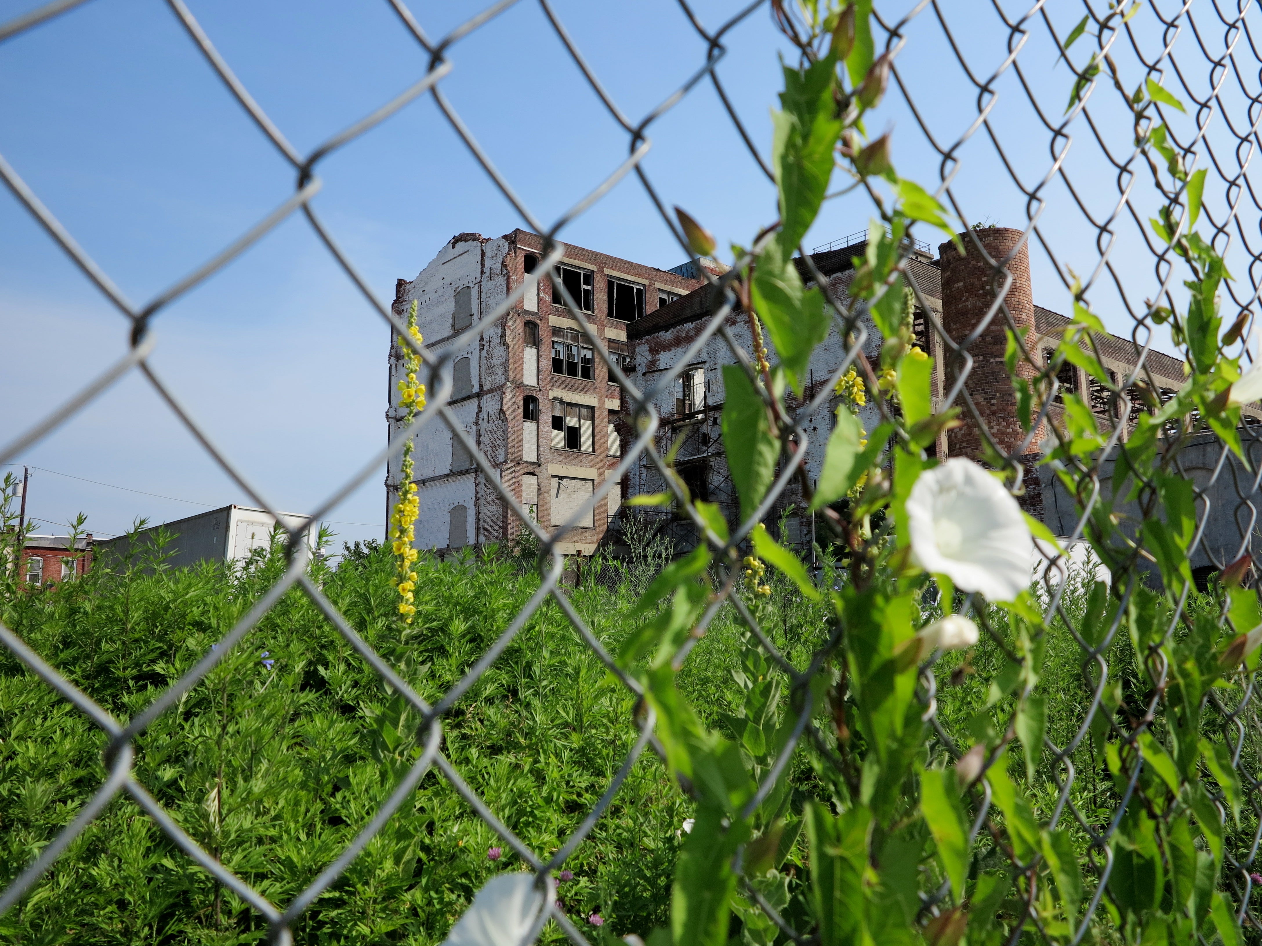 Vacancy and Orinoka Mills, June 2014