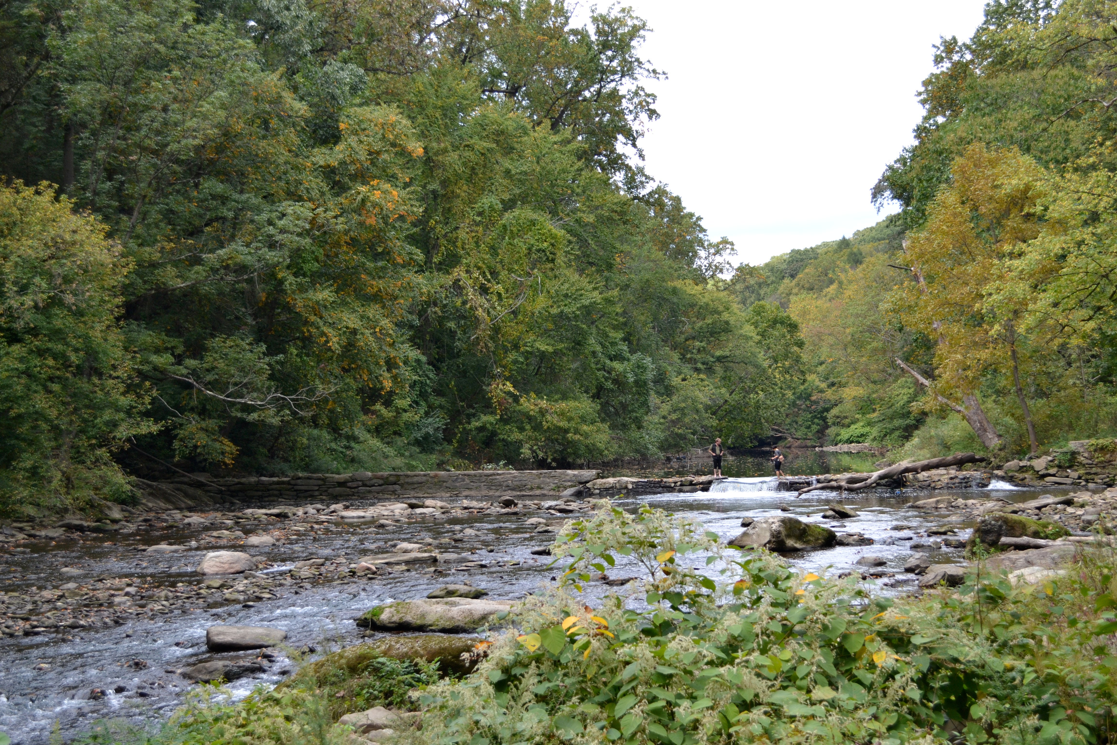 Wissahickon Valley Park