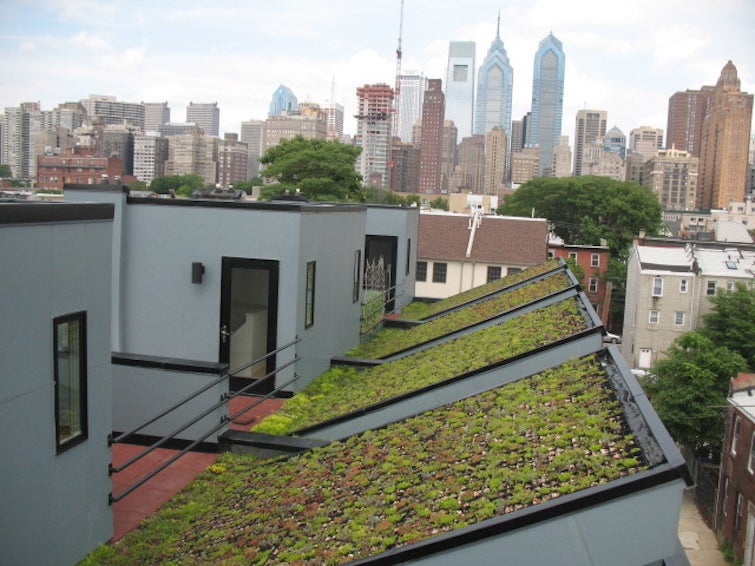 Green roof
