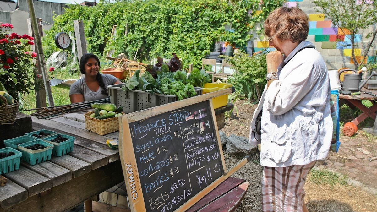 La Finquita farm stand, Summer 2014 | Kimberly Paynter / WHYY