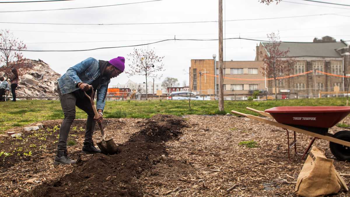 Tommy Joshua, one of the founders of the North Philly Peace Park, gets ready to plant vegetables. (Brad Larrison/for NewsWorks)