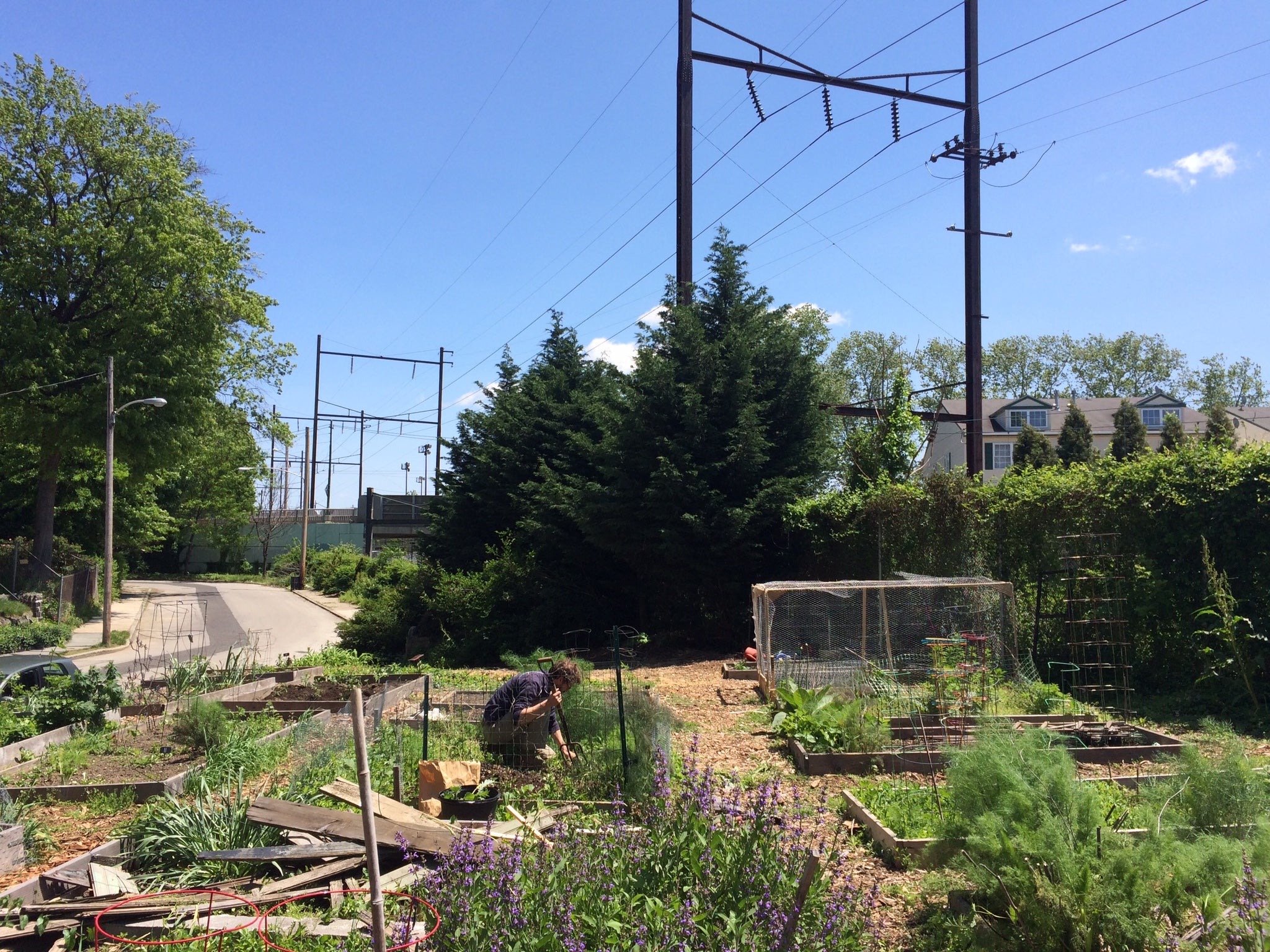 St. Bernard Community Garden, May 2016 | Max Marin