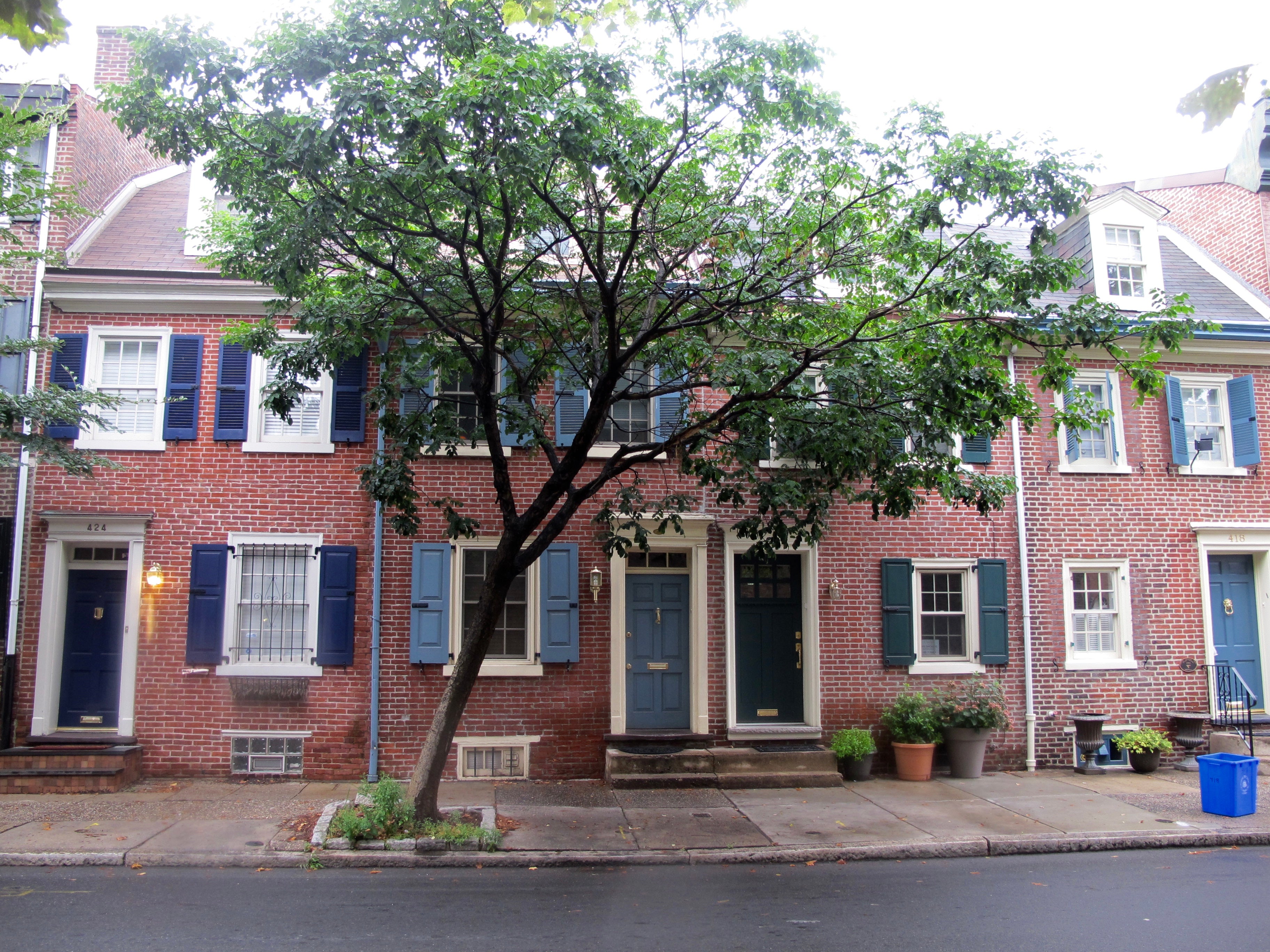 Street tree, rowhouses