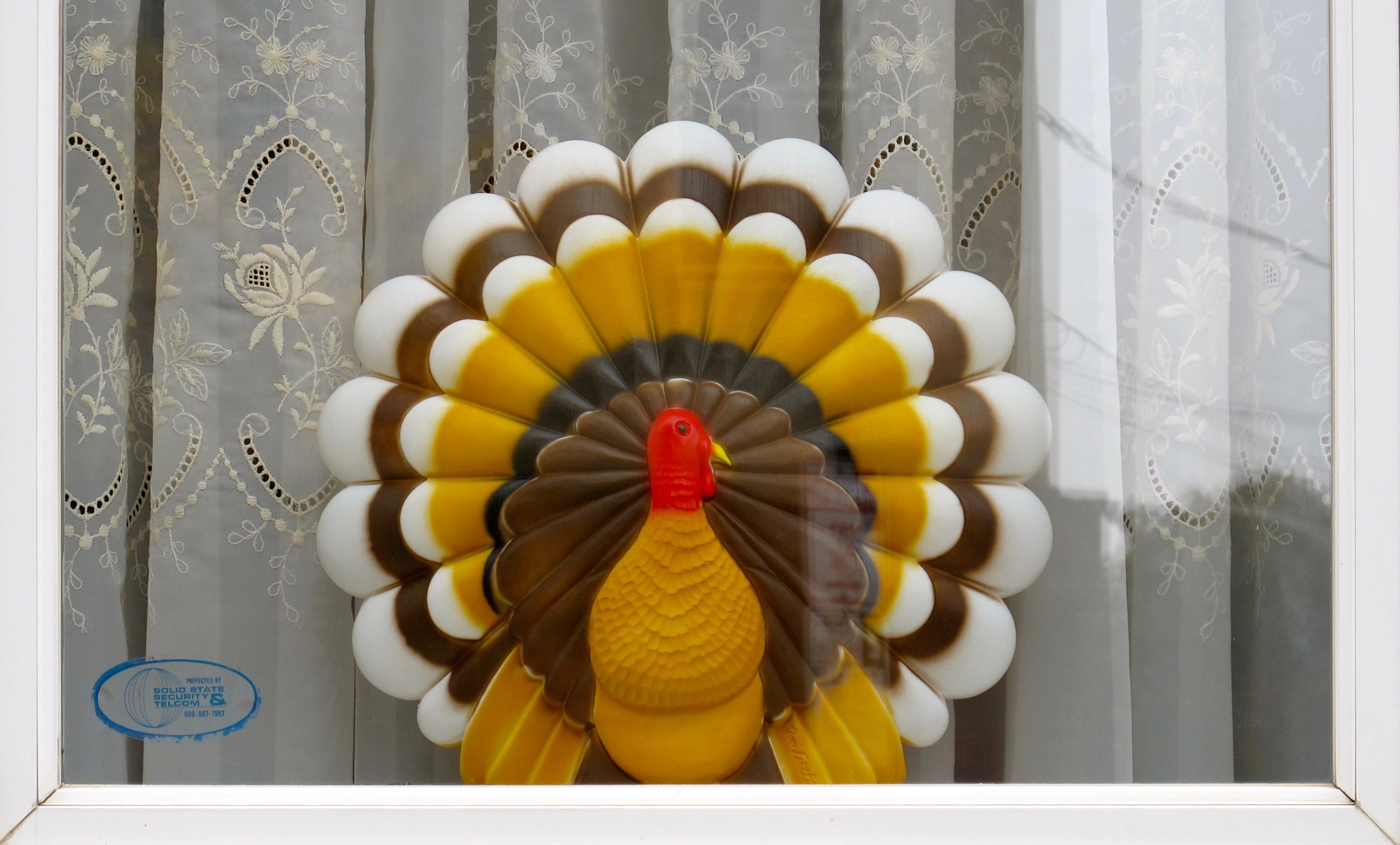 turkeywindow