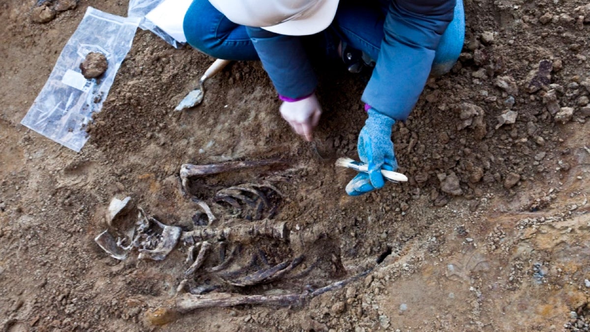 A volunteer uncovers a body at the former site of First Baptist church cemetery in early 2017. (Courtesy of the Mütter Museum)