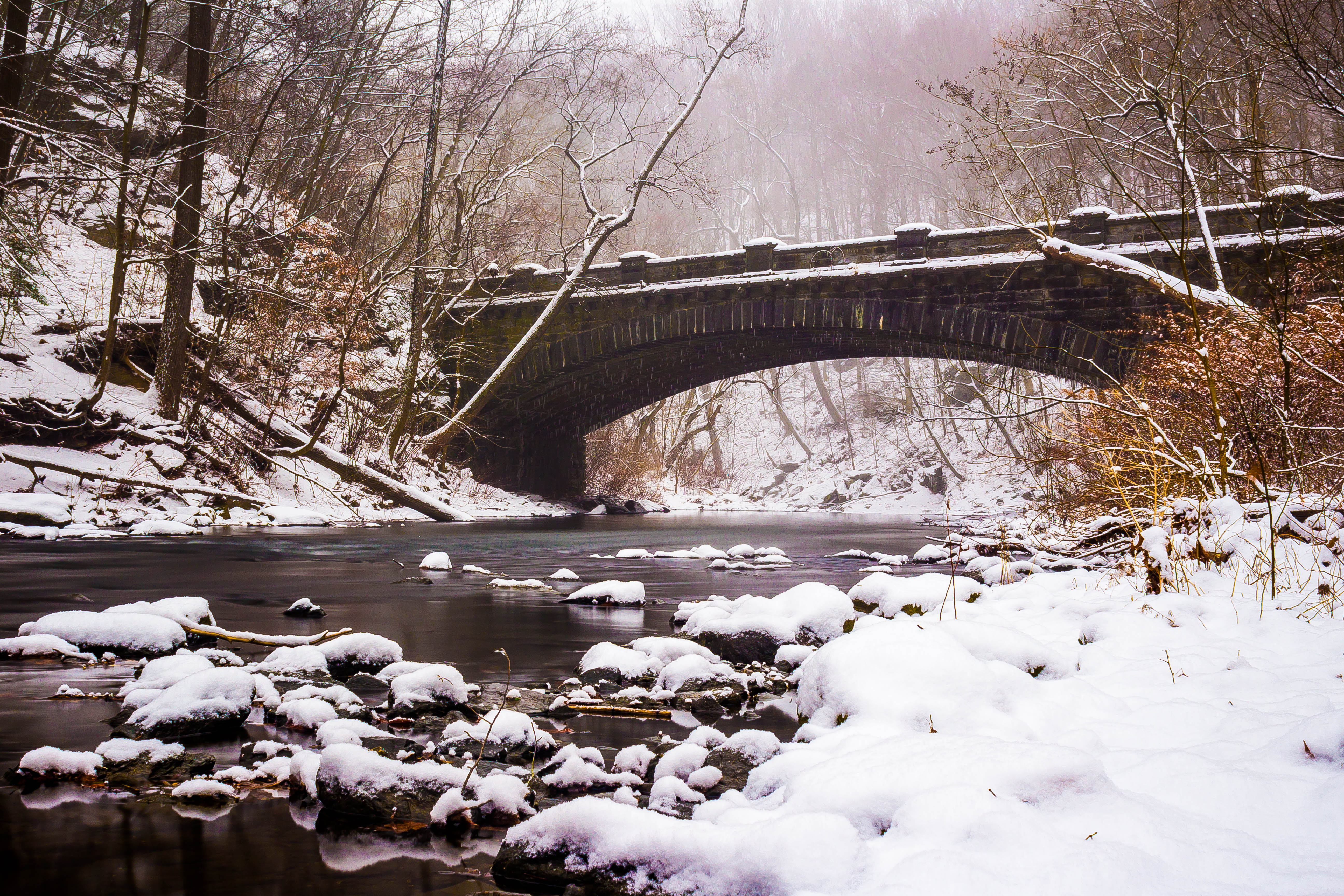 Bridge over the Wissahickon in winter (Credit: Gary Citrone)