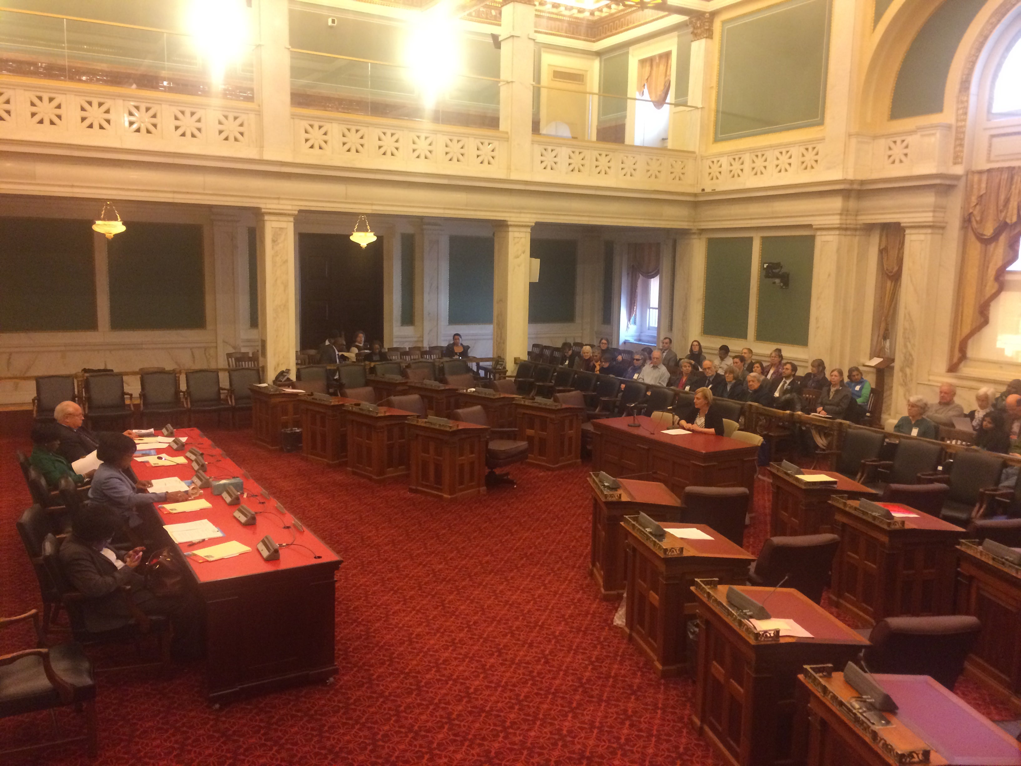 Christine Knapp, Office of Sustainability, testifies at a City Council hearing on the environment, March 2017 | Catalina Jaramillo / PlanPhilly