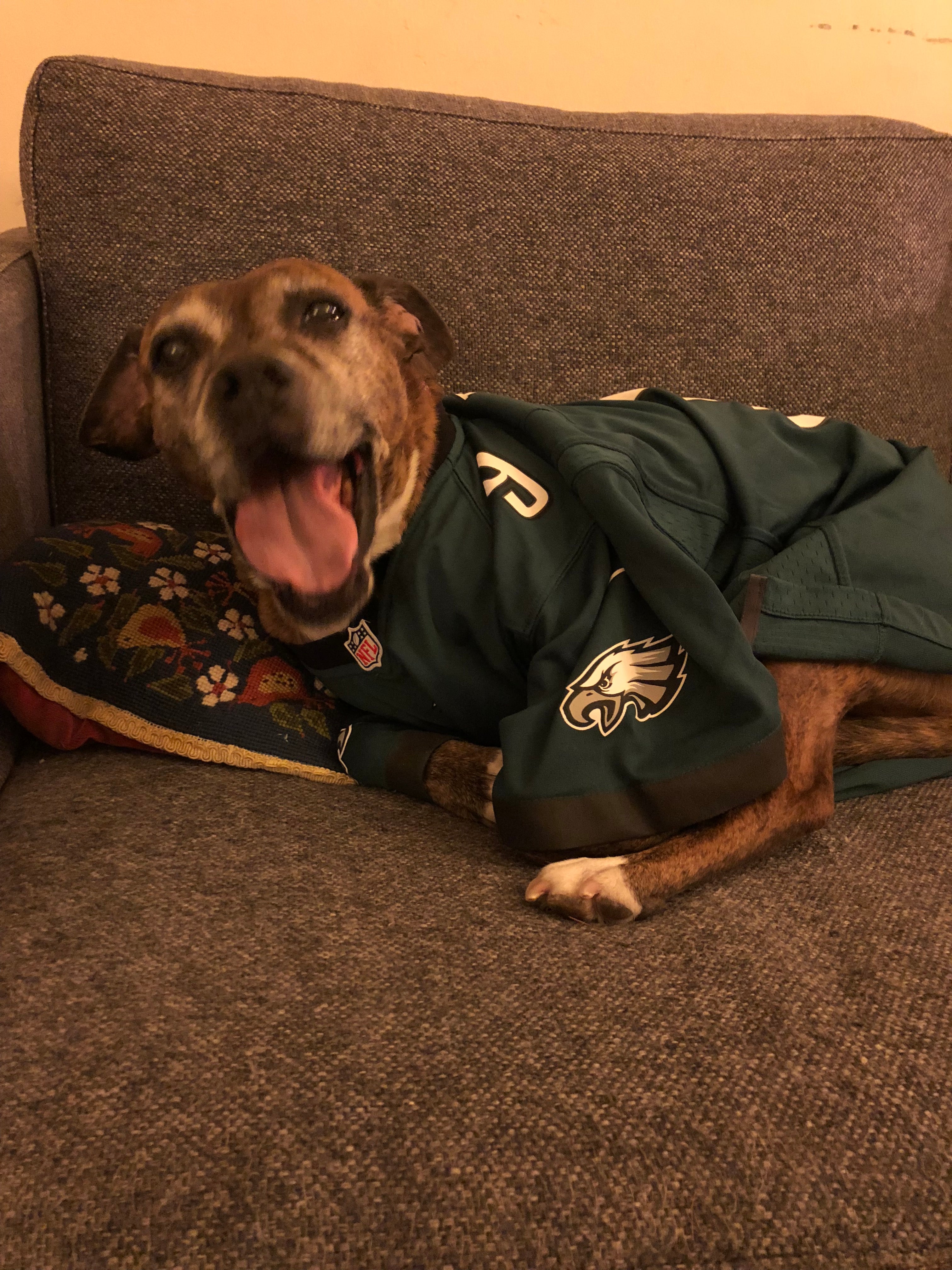 Eagles underdog fashionista Darla, a Port Richmond native, does her best bird impersonation. Credit: Diana Lu