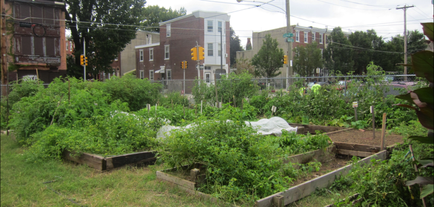 Emerald Street Urban Farm