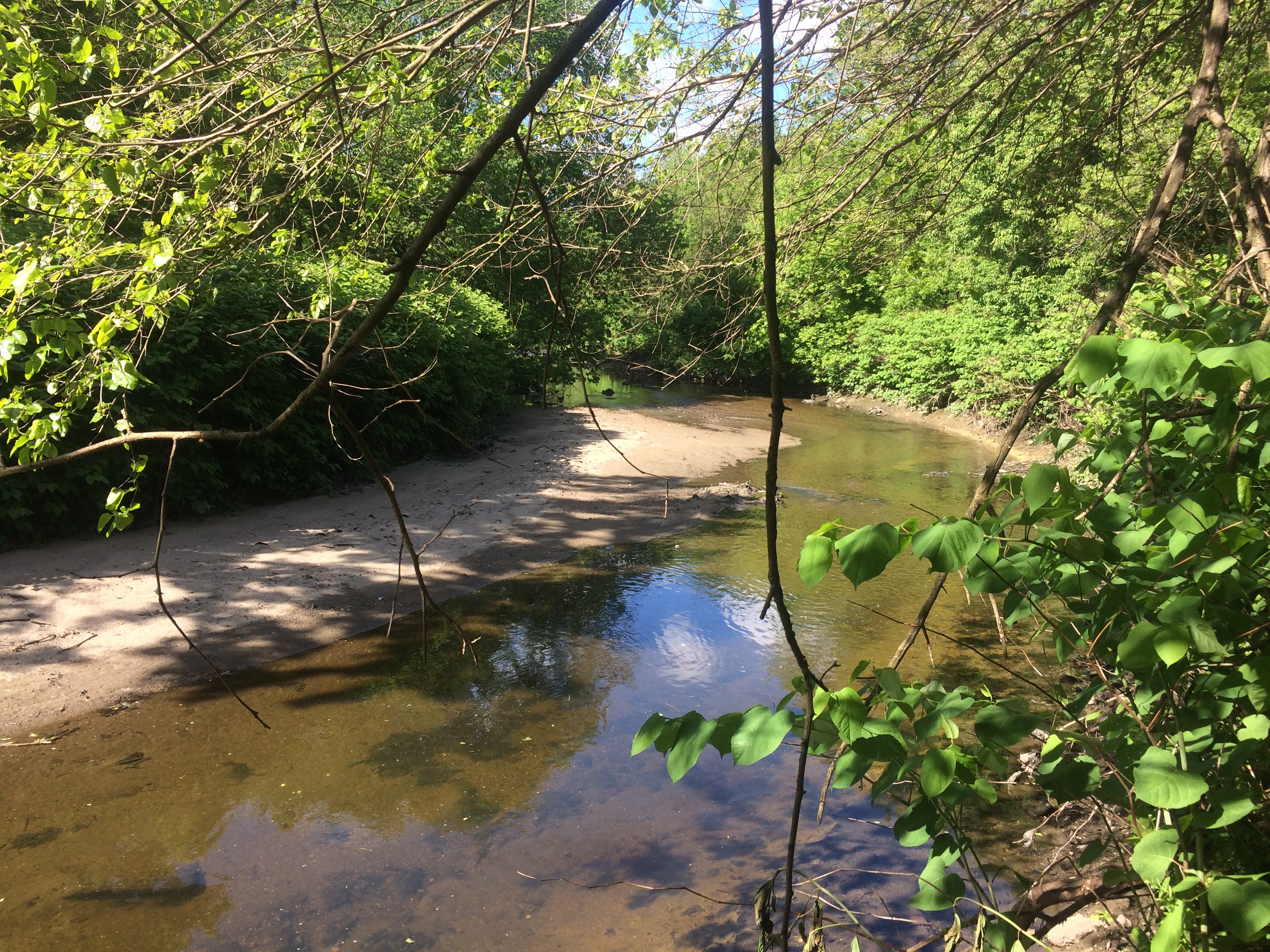 Normally the Cobbs Creek has a low flow rate. 