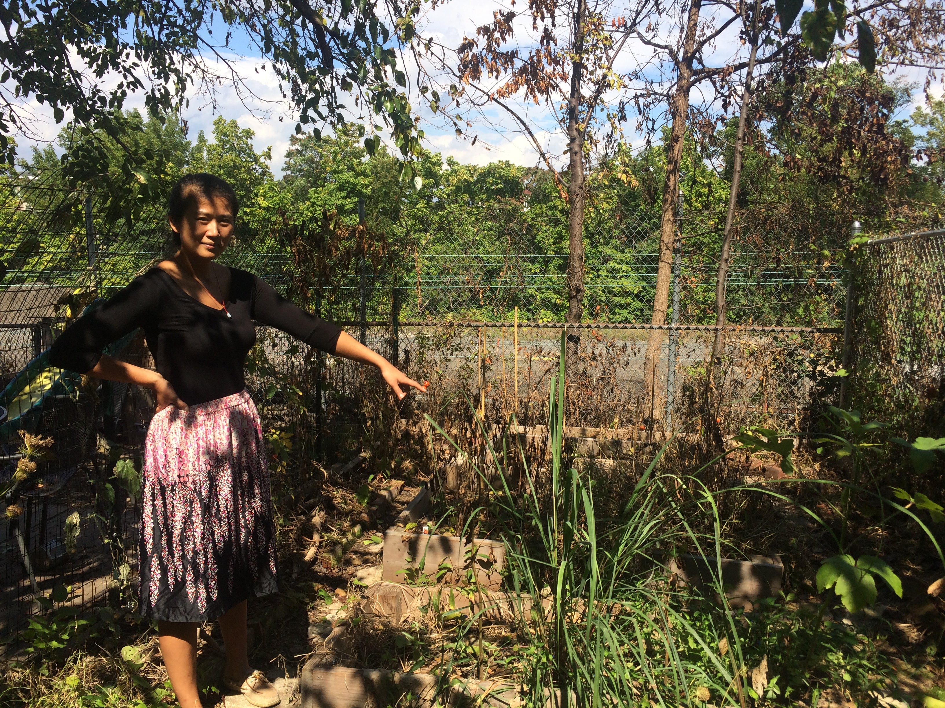 Jenny Chen points out the dead side of her garden.