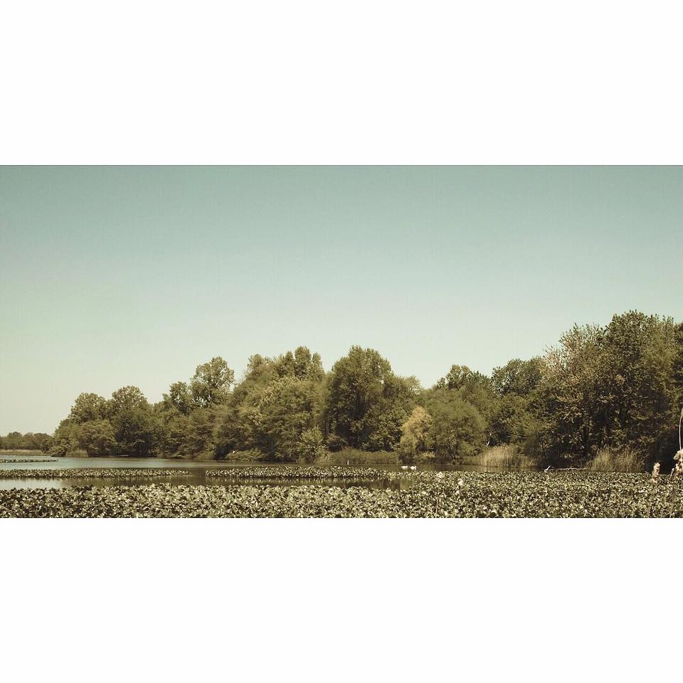 John Heinz National Wildlife Refuge at Tinicum. Credit: Wo Jo Photos.