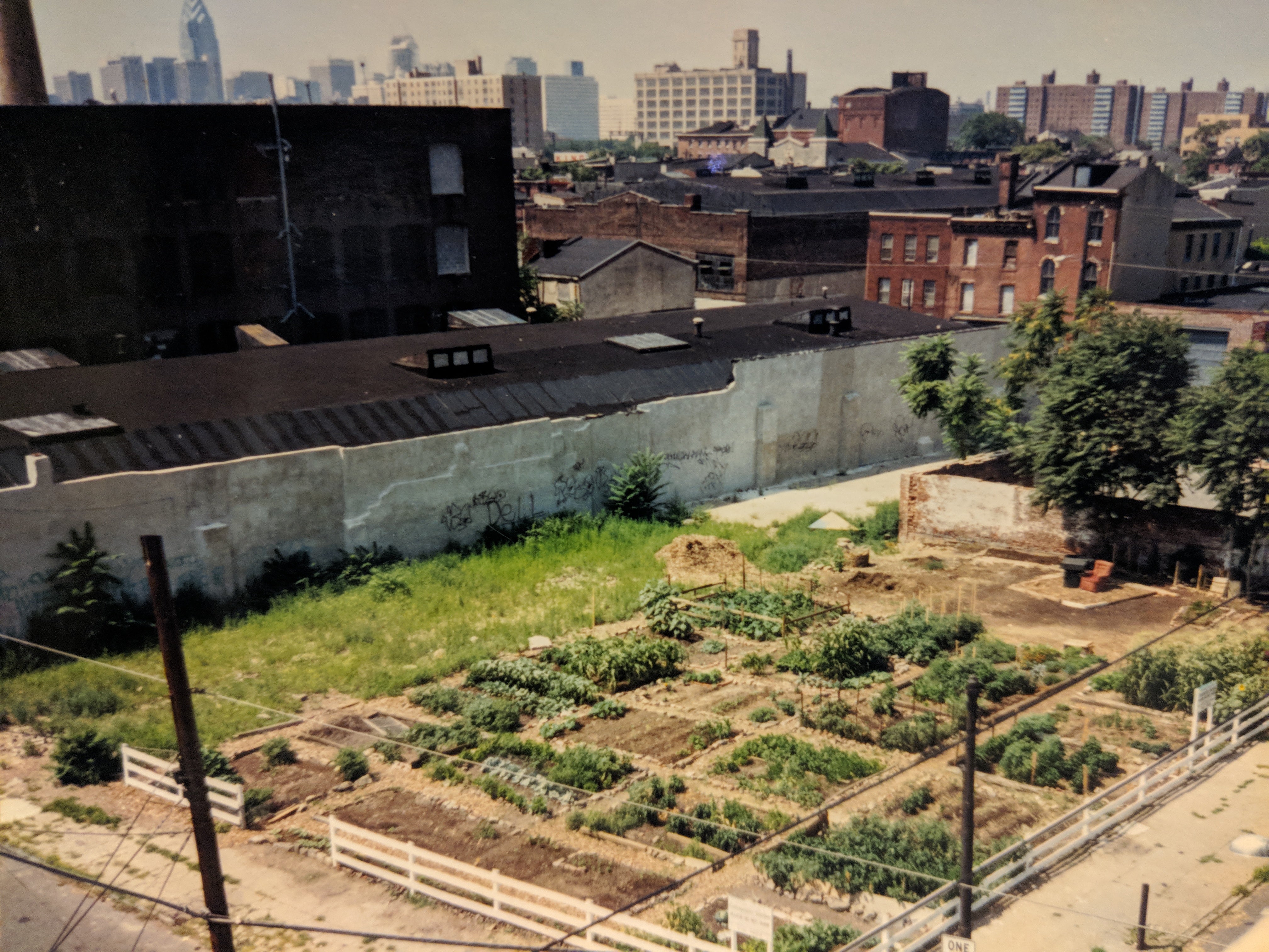 La Finquita, the little farm, when it was a growing concern in the 1980s.