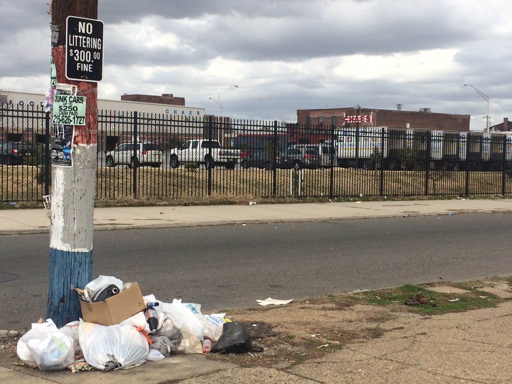 Litter and illegal dumping household trash.