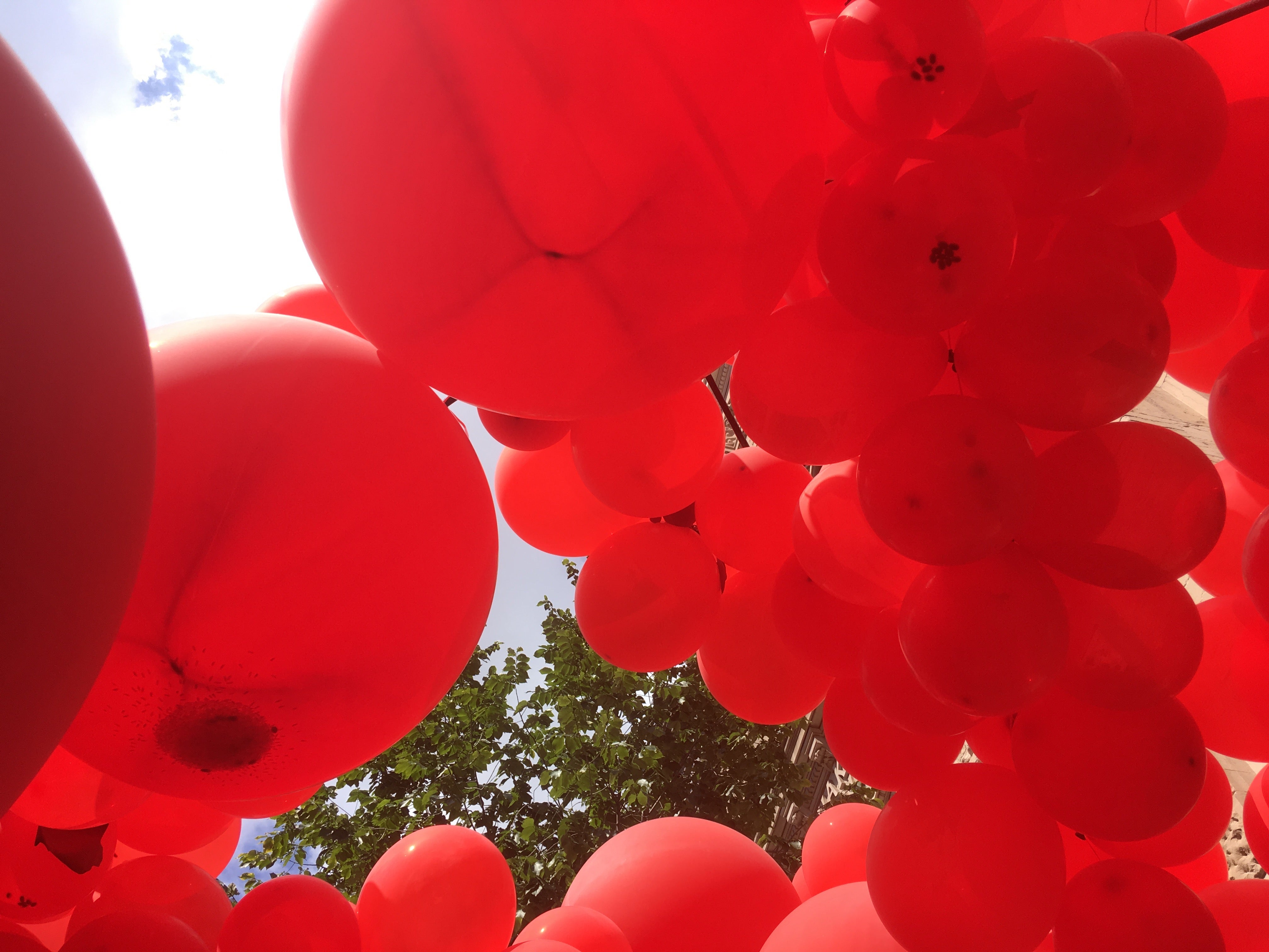 Looking up through at least 99 red balloons arranged by OLIN 