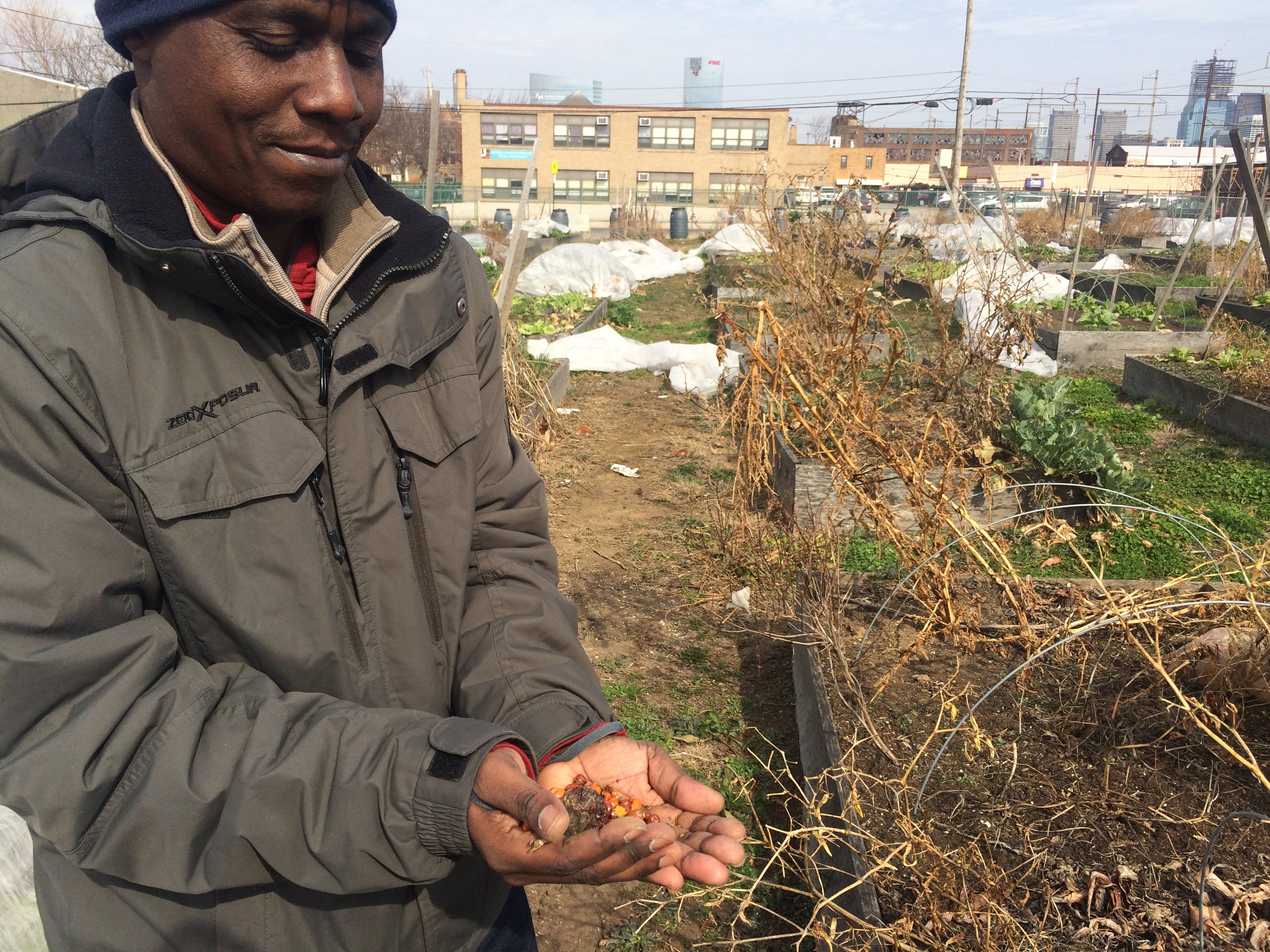 Merthus Mbonigaba at the Growing Together farm in South Philadelphia. | Catalina Jaramillo / WHYY