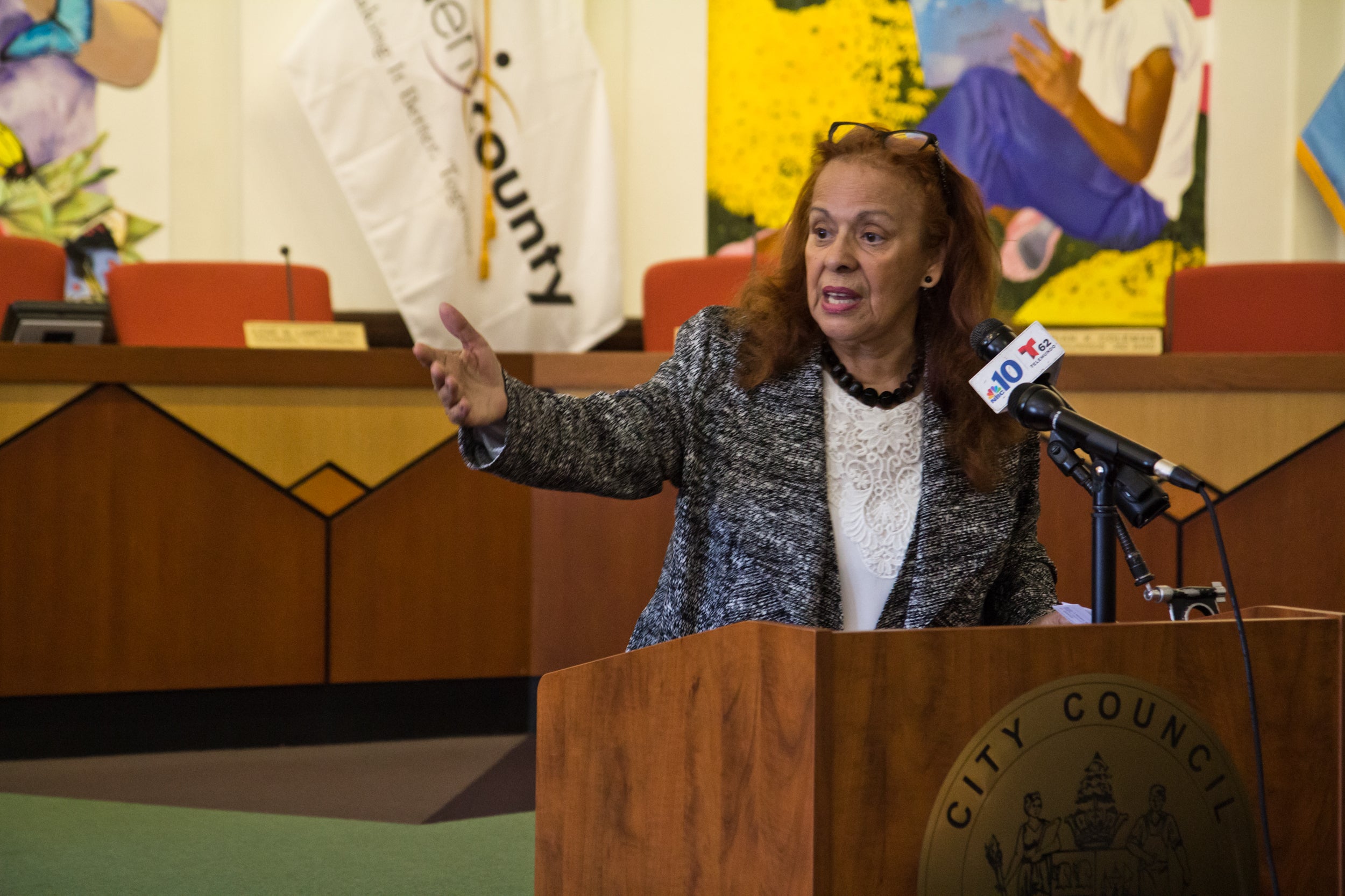 Peggy Anastos is Vice Chair of the New Jersey Commission on Puerto Rico Relief. (Kimberly Paynter/WHYY)