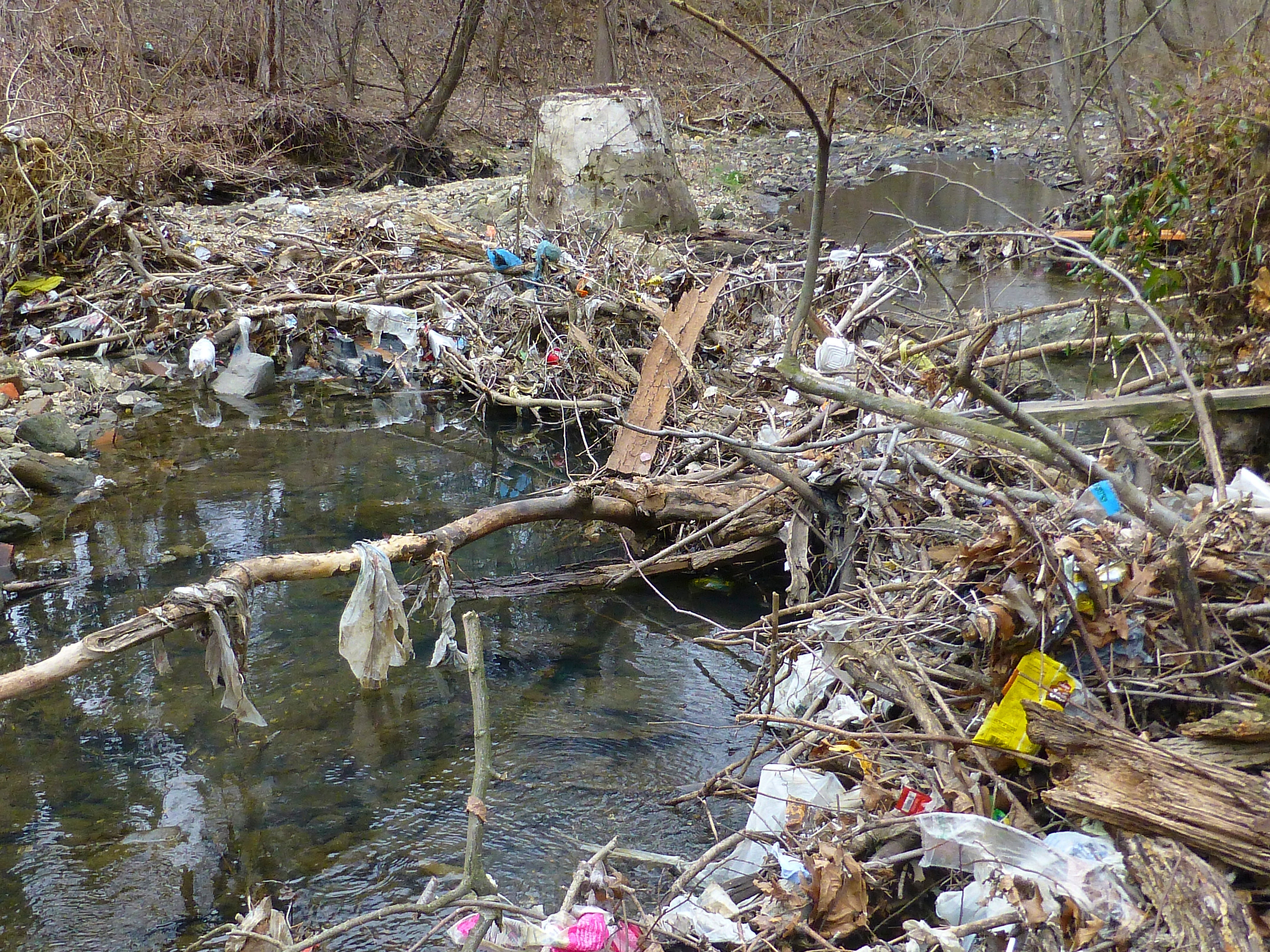 Woody debris jam downstream Ogantz Ave.