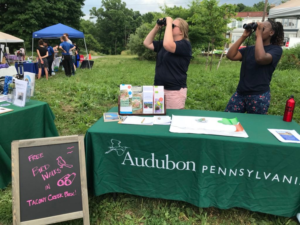 Bird watching with Audobon PA during the Tacony Creek block party. 