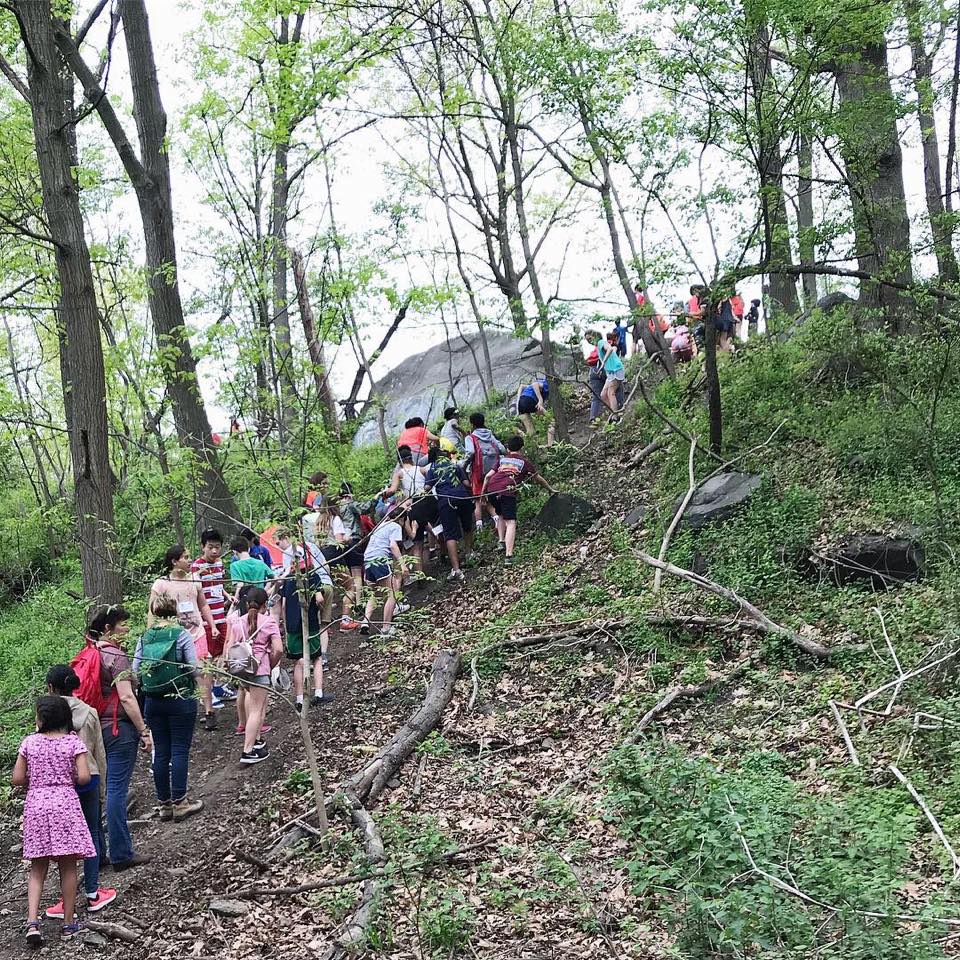 Students explore Tacony Creek Park in the summer. Credit: Tookany/Tacony-Frankford Watershed Partnership