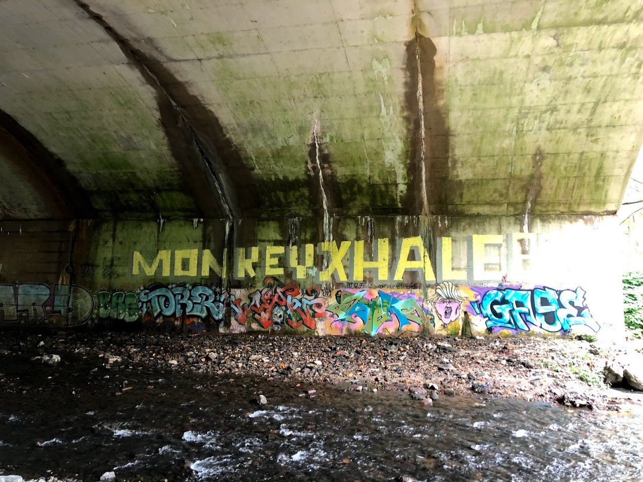 Under Roosevelt Boulevard on the new pedestrian/bike path.