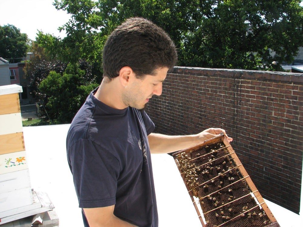 Fairmount beekeeper Adam Schreiber tends to the bees on his roof