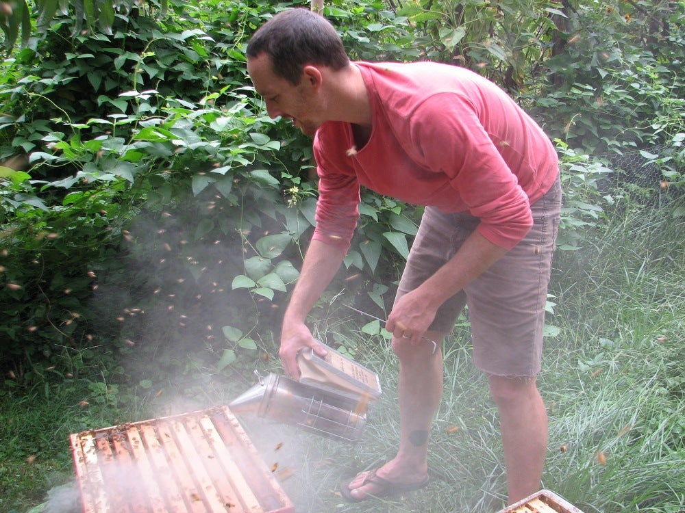 Eckel uses a pine-needle filled smoker before lifting a frame.