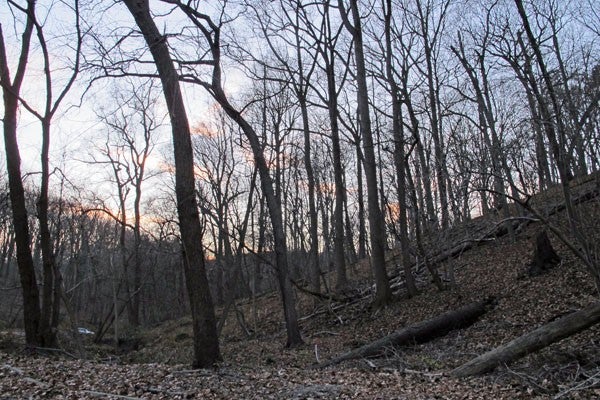 The Wissahickon Watershed Overlay is a part of the new zoning code that attempts to mitigate flooding in the Northwest