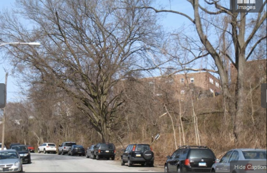 A fall view of the hill and Donna Court from Green Lane in Roxborough (Photo courtesy of Lynda Payne)