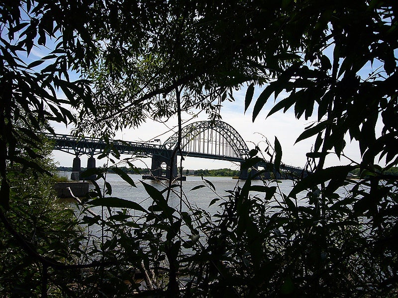 Tacony-Palmyra Bridge through the trees