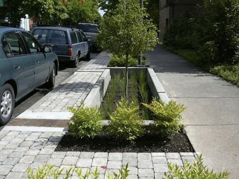 Curbside in Portland, Oregon. Portland’s green stormwater management system was used as a case study in the SBN report