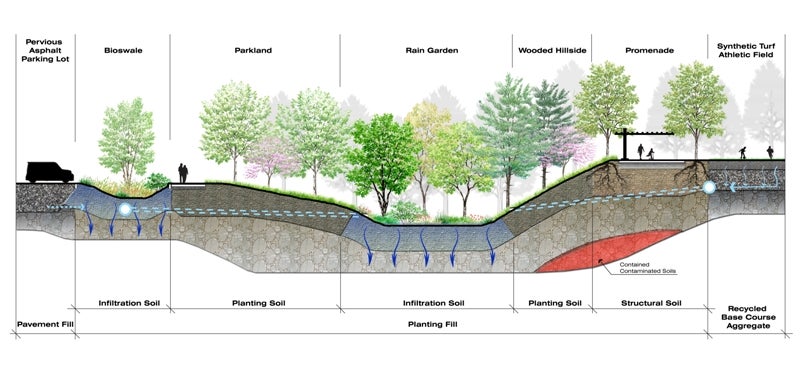Kroc Center soils cross section: Credit: Andropogon Associates and MGA Partners