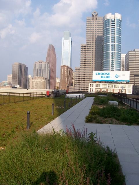 PECO green roof