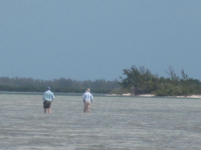 Flyfishing in Bimini