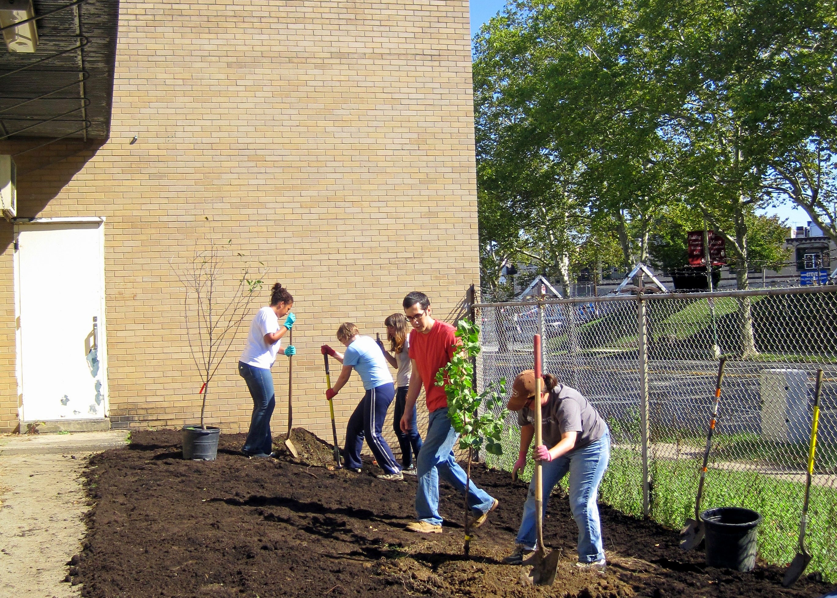 Planting the orchard at SHARE's warehouse in Allegheny. | Philadelphia Orchard Project