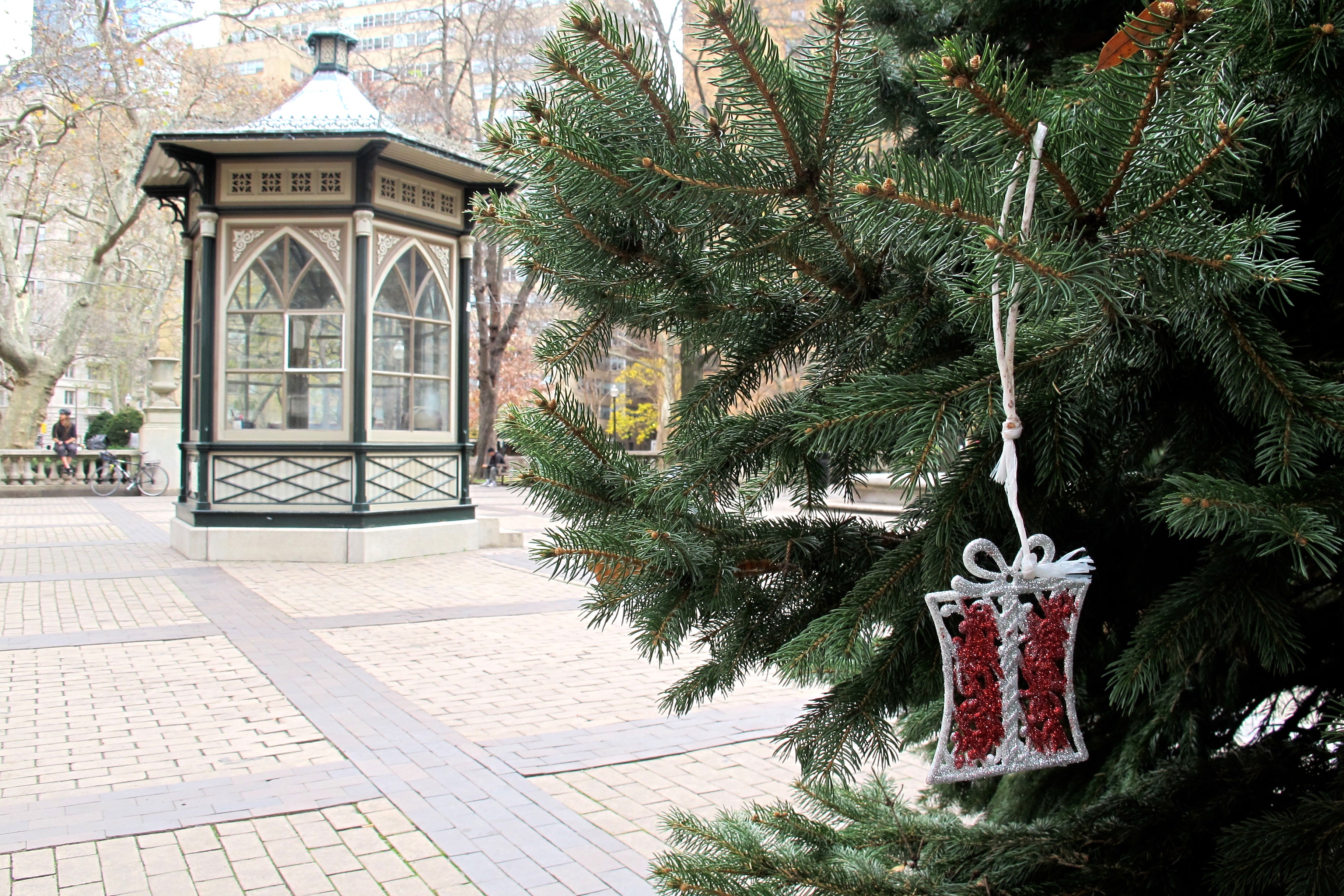 While waiting for its lights, the tree in Rittenhouse sports one ornament.