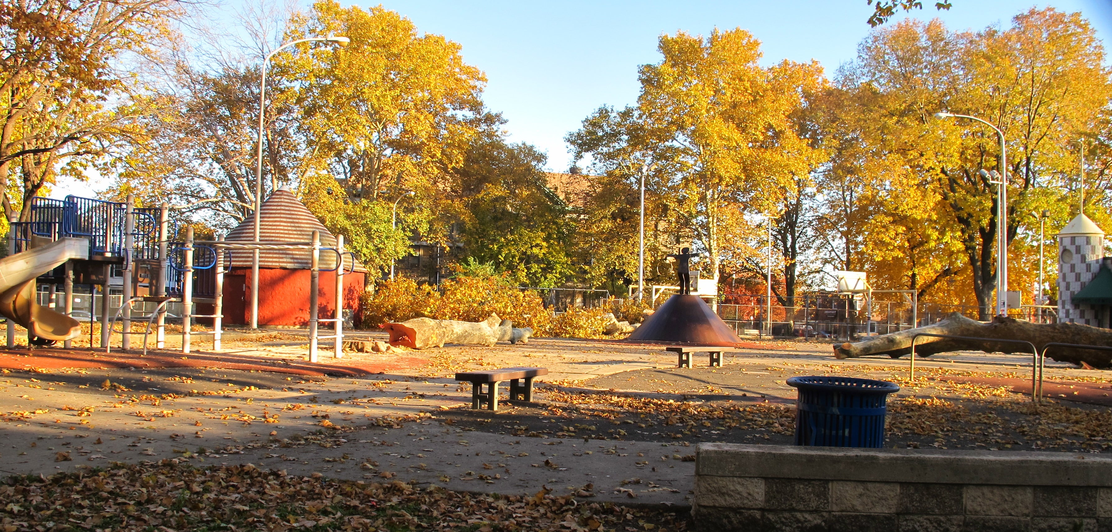 Near the play area, a few large trees were cut down due to disease.