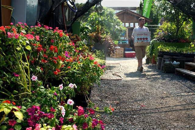 Greensgrow, inside (2011) | flickr user shrimpcracker, Eyes on the Street flickr group