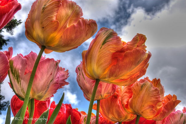 Worm's Eye View | Rob Lybeck, Eyes on the Street Flickr group