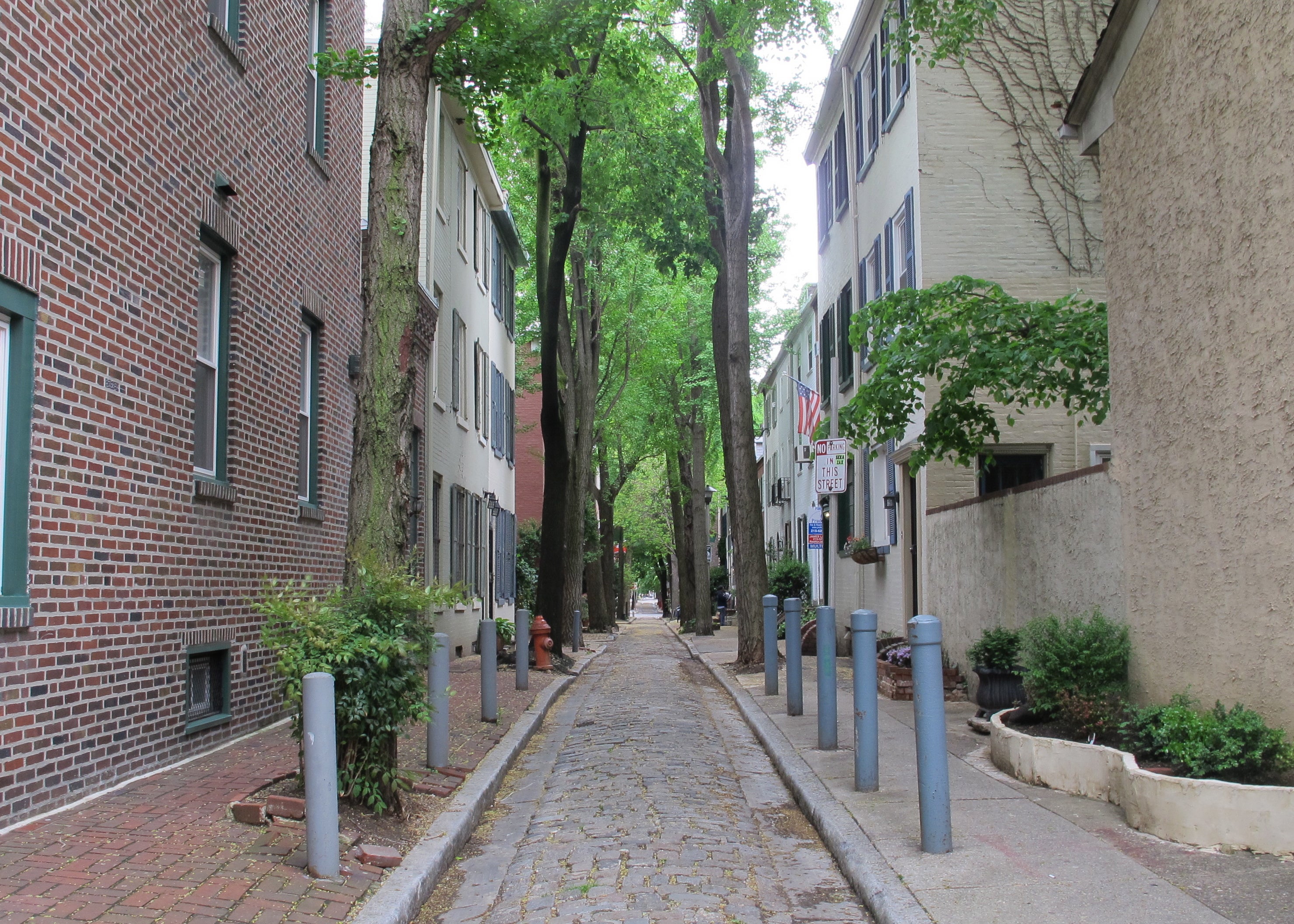 Looking south on Quince Street from Spruce.