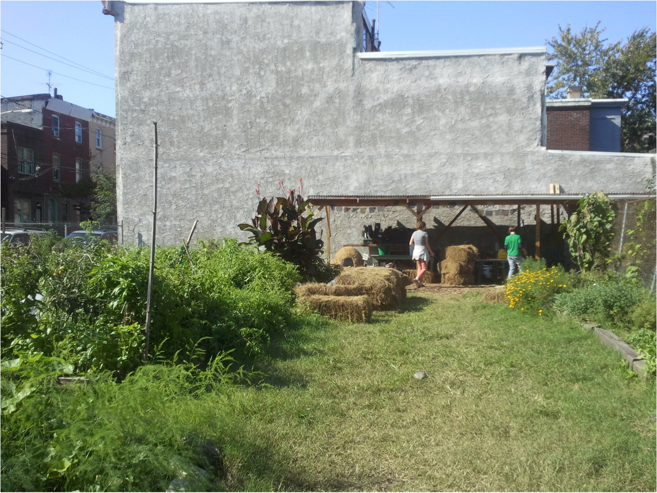 Emerald Street Urban Farm looking as green as its name.