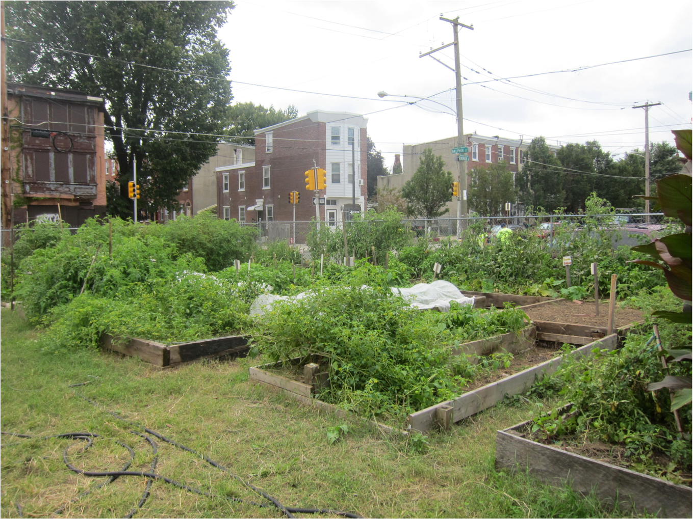 Emerald Street Urban Farm has taken root on five vacant lots in East Kensington.