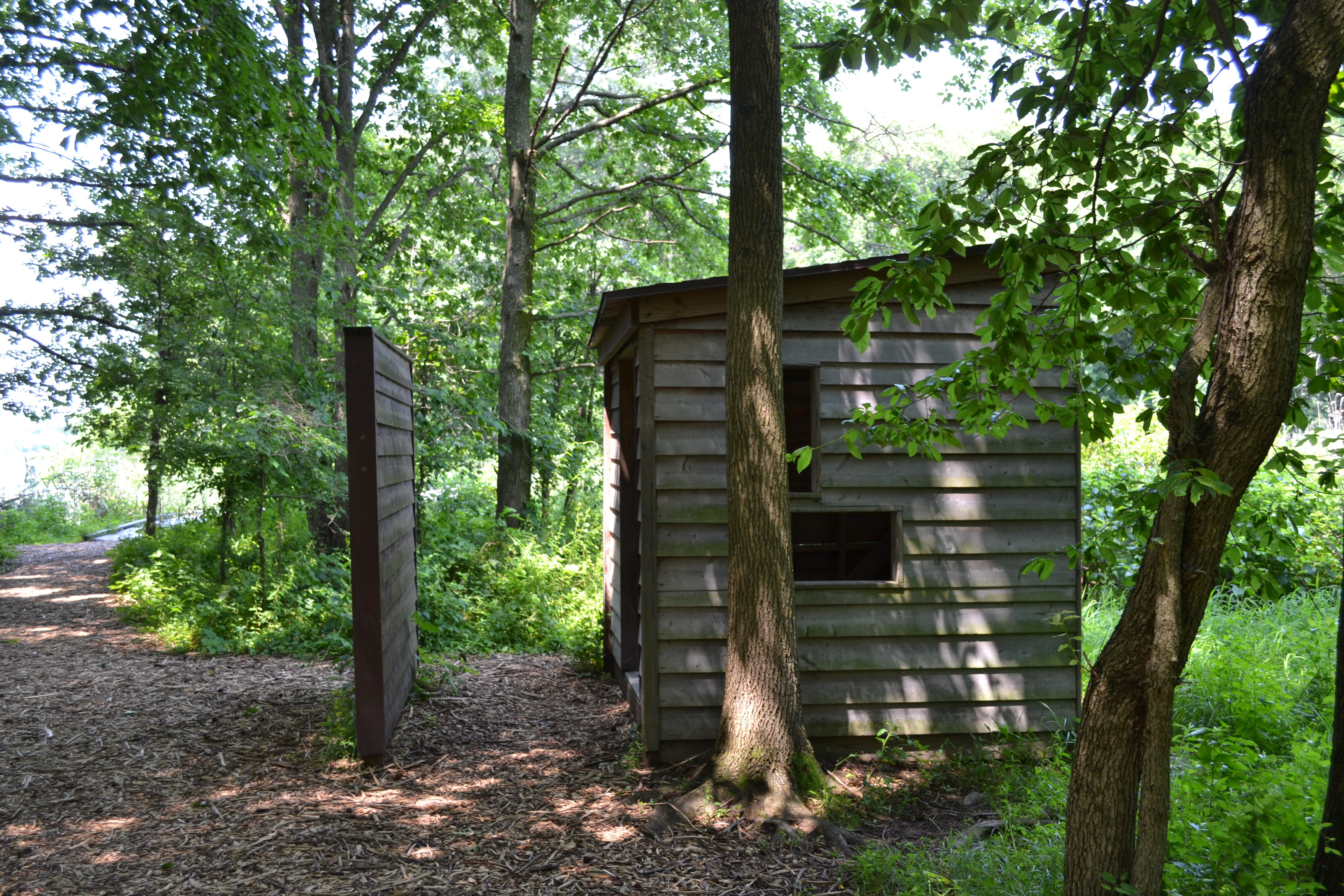 A small shelter allows photographers to stay hidden and get close-up photos of unaware birds