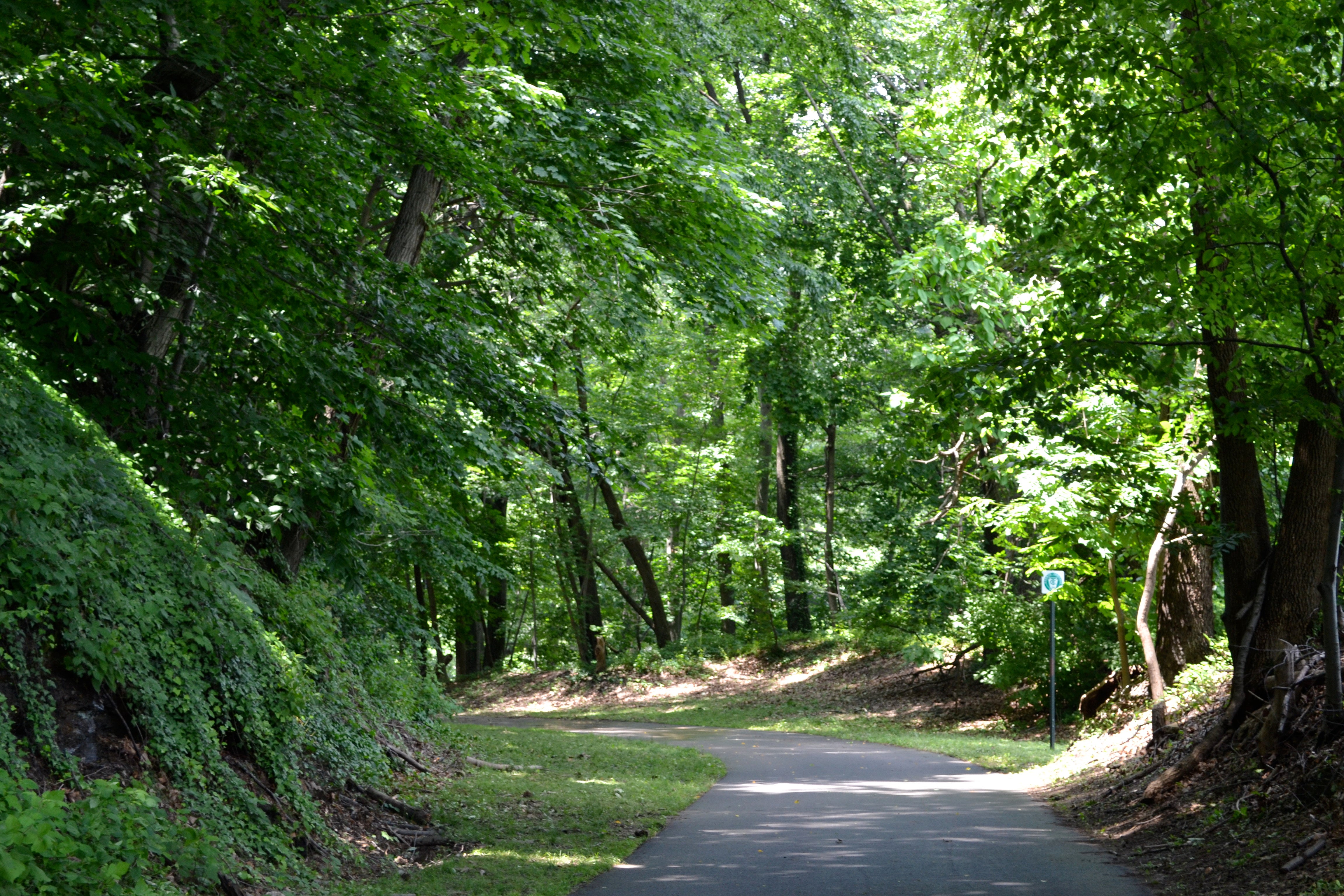 After the Manayunk Bridge the softer dirt path ends and the paved section runs to Rock Hill Road and Belmont Ave