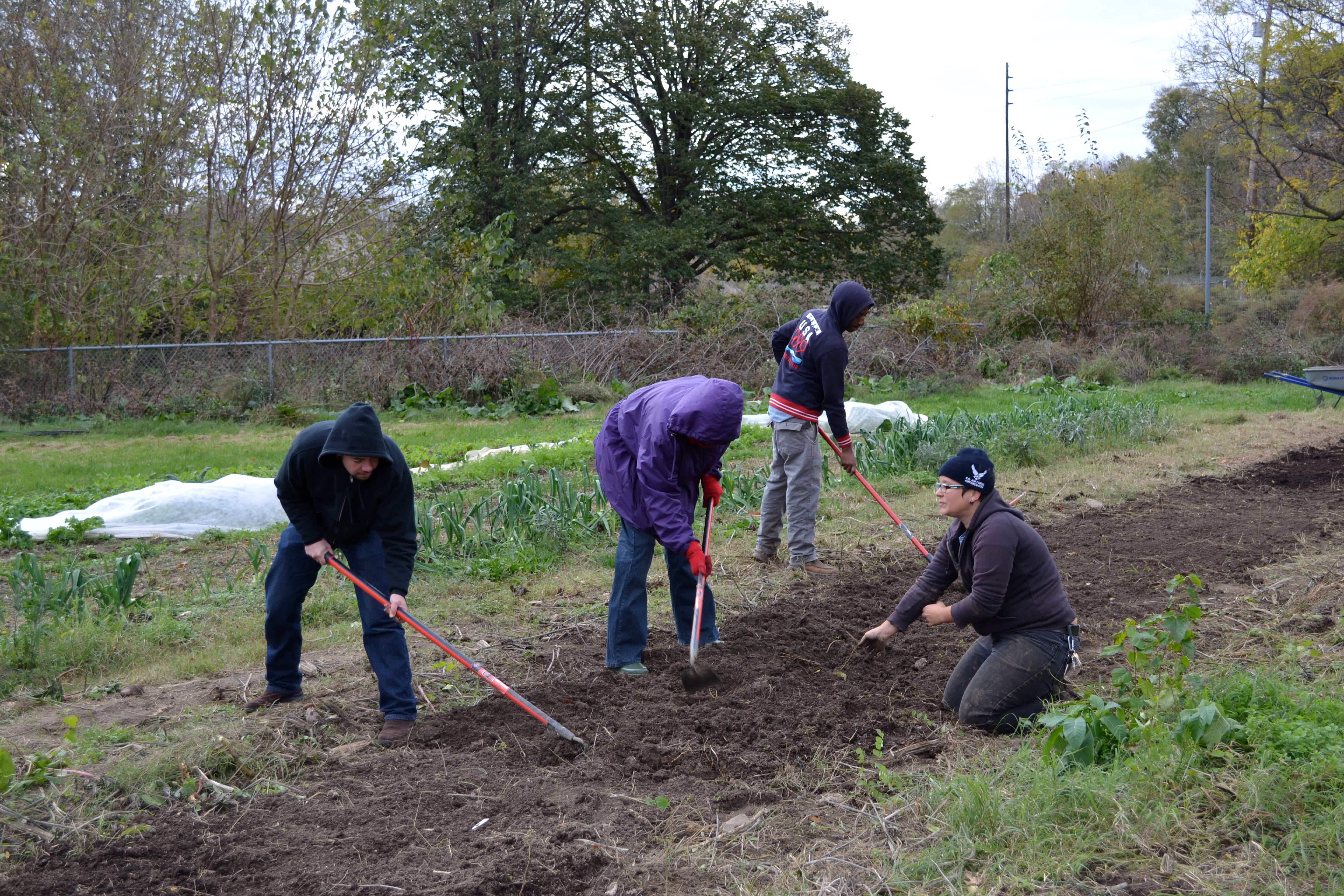 Bartram's Farm One Year Mark