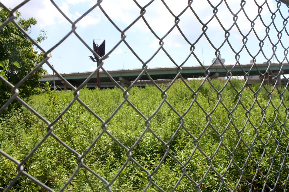 The lot at Front and Richmond streets, owned by Gianni Pignetti