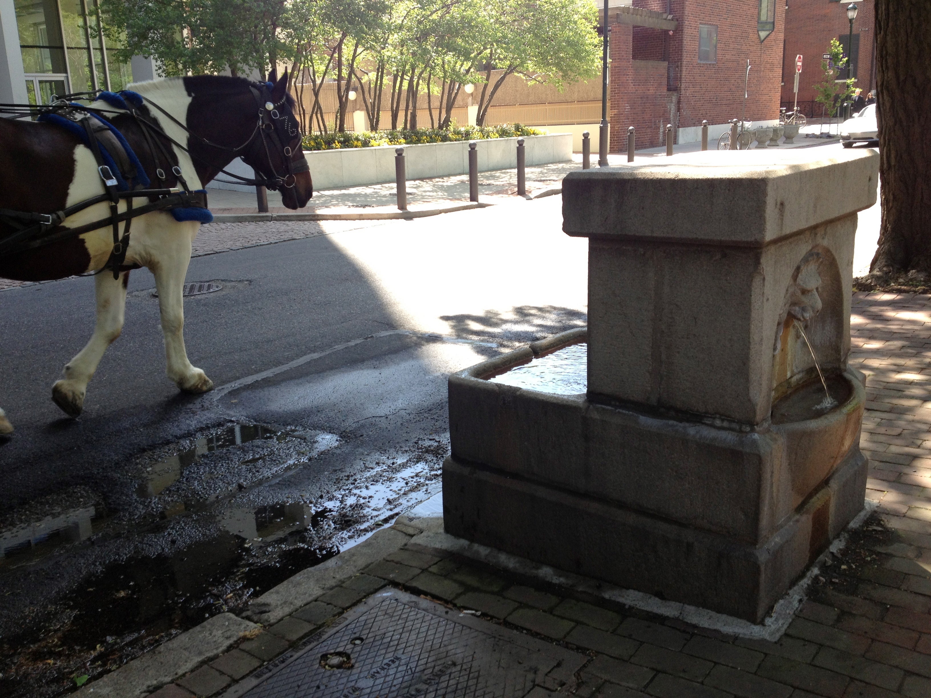 horse fountain